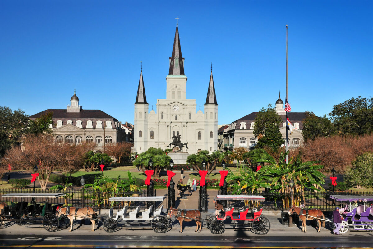 fun things to do in new orleans with kids