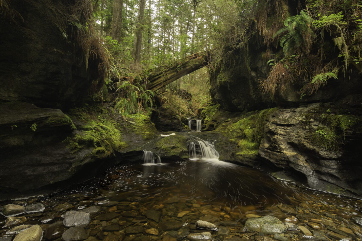 things to do on Vancouver Island