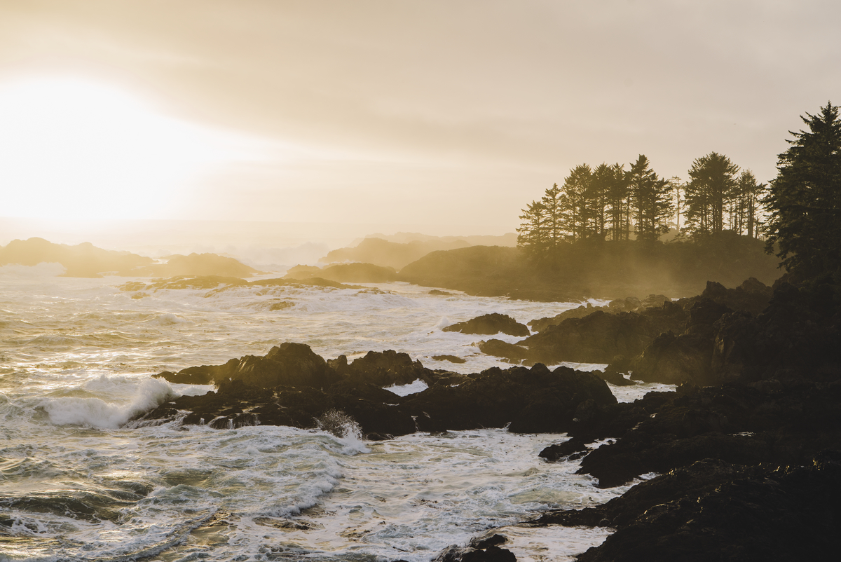 Sunrise at Wild Pacific Trail, the Coast of Vancouver Island in Ucluelet. Credit: Tourism Vancouver Island/Ben Giesbrecht