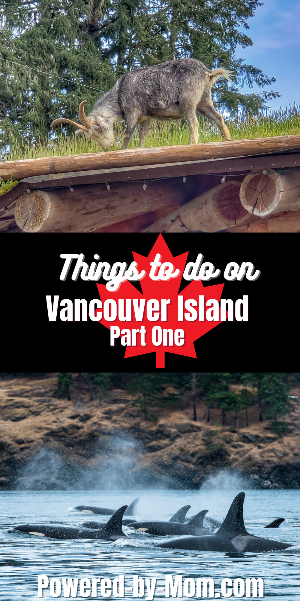 Things to do on Vancouver Island